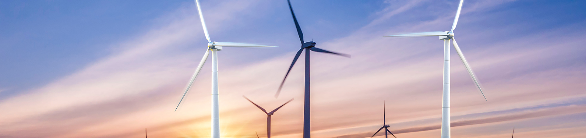 澳门新葡萄新京威尼斯(中国游)官方网站